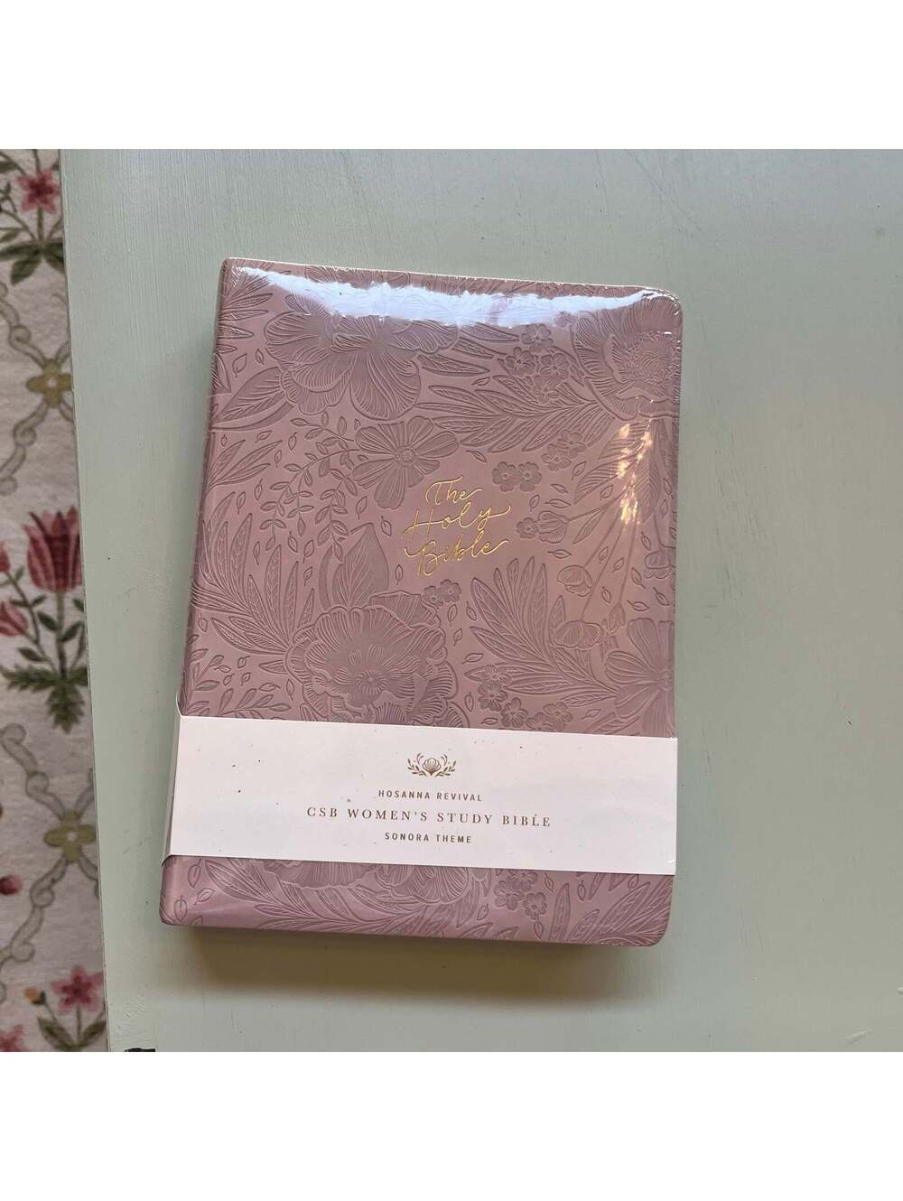 NWT CSB Study Bible